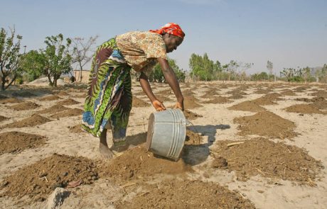 Une planète plus chaude est une planète plus affamée, prévient le nouveau rapport du GIEC