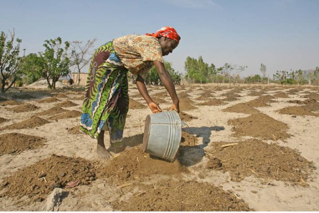 Une planète plus chaude est une planète plus affamée, prévient le nouveau rapport du GIEC