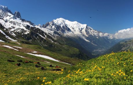 L’accès au Mont Blanc par les alpinistes sans guide sera bientôt réglementé