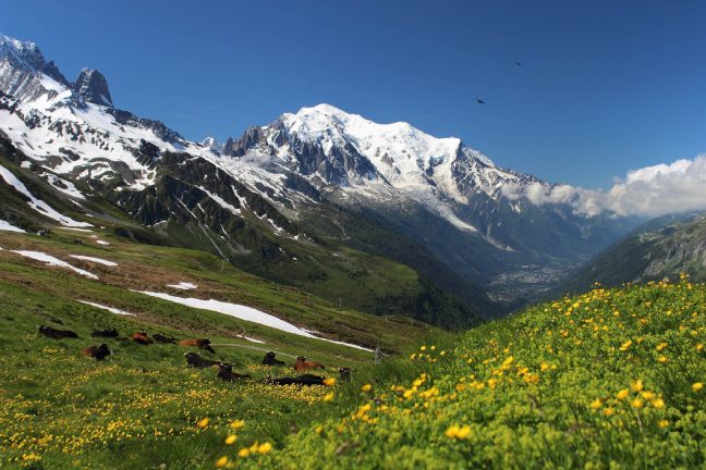 L’accès au Mont Blanc par les alpinistes sans guide sera bientôt réglementé
