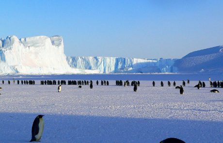 Antarctique : la banquise fond et les scientifiques ne savent pas pourquoi