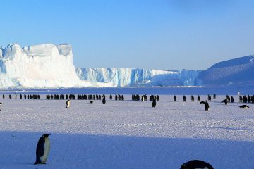 Antarctique : la banquise fond et les scientifiques ne savent pas pourquoi