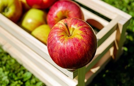 Crise du bio : dans le Limousin, des producteurs de pommes contraints de revenir au conventionnel