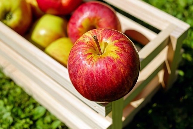 Crise du bio : dans le Limousin, des producteurs de pommes contraints de revenir au conventionnel