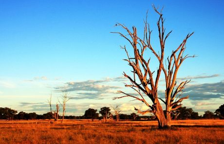 L’Australie anticipe une baisse de la consommation de charbon