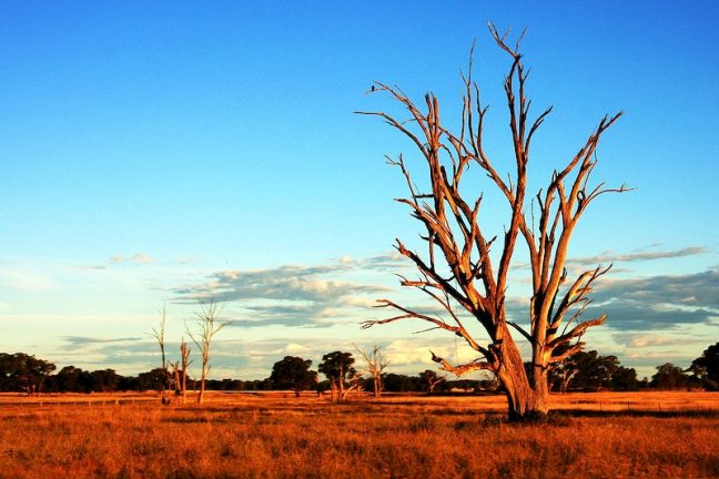 L’Australie anticipe une baisse de la consommation de charbon