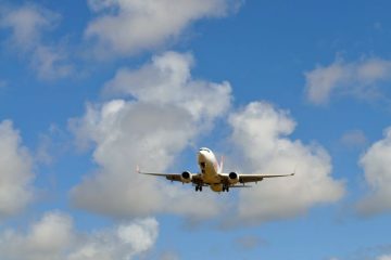 Comment ça fonctionne un avion qui utilise des huiles végétales comme carburant ?