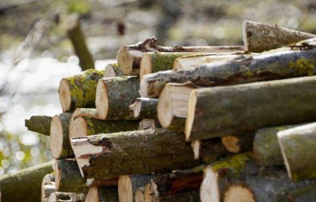 TimberRoc, le « béton de bois » avec une empreinte carbone négative