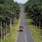 L’Indonésie « très susceptible » de retarder le déploiement de son biodiesel B35