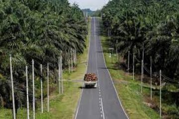 L’Indonésie « très susceptible » de retarder le déploiement de son biodiesel B35