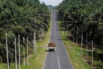 L’Indonésie « très susceptible » de retarder le déploiement de son biodiesel B35