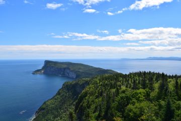 Le sommet de l’ONU sur la biodiversité reporté pour la troisième fois