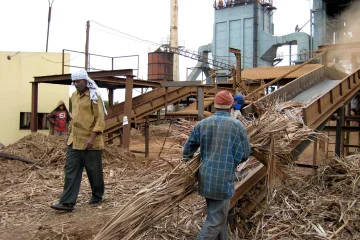 L’industrie indienne se tourne vers la biomasse pour faire face à l’interdiction du charbon