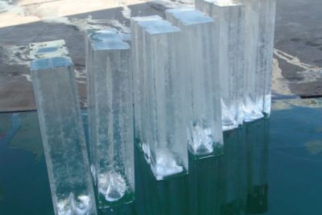 Le commerce de la glace en plein essor pendant l’été à Shanghai
