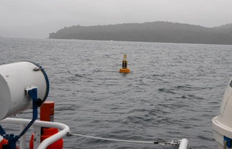 Le Chili utilise des bouées de haute technologie pour protéger les baleines en migration