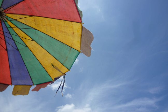 Le réchauffement climatique seul responsable de la terrible canicule de 2016