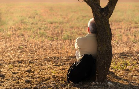 Météo-France craint un été particulièrement chaud et aride