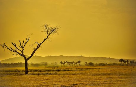 Réchauffement climatique : les records se suivent et, malheureusement, se ressemblent