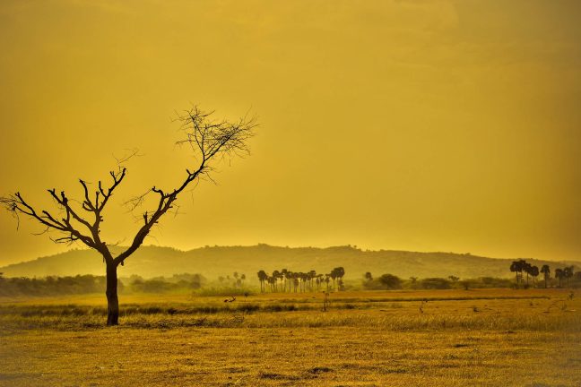 Réchauffement climatique : les records se suivent et, malheureusement, se ressemblent