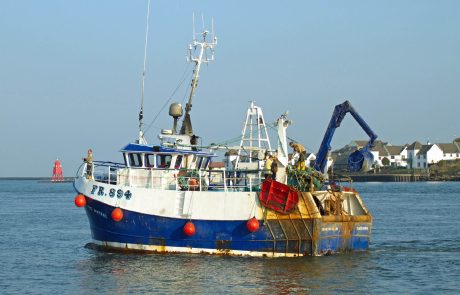 Les grands chalutiers exploitent plus de 55% de la surface océanique