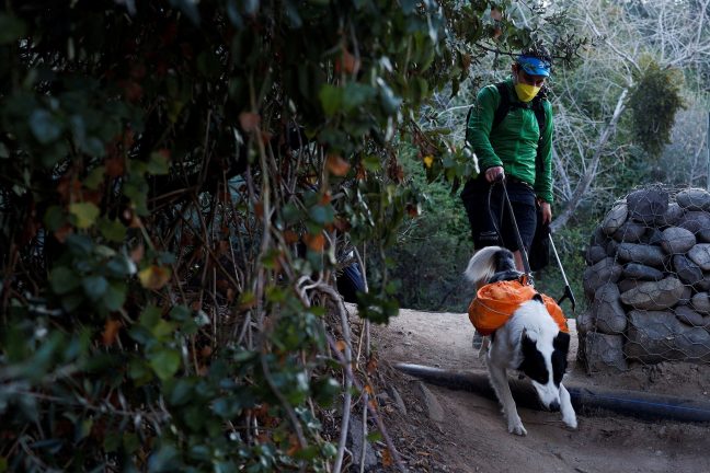 Un chien super-héros pour sensibiliser au ramassage des ordures au Chili