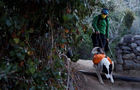 Un chien super-héros pour sensibiliser au ramassage des ordures au Chili