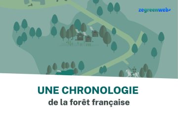 [Infographie] Une chronologie de la forêt française