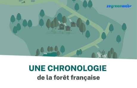 [Infographie] Une chronologie de la forêt française