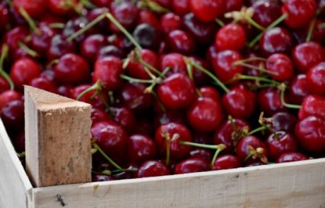 Consommation : Les fruits et légumes contiennent de plus en plus de pesticides