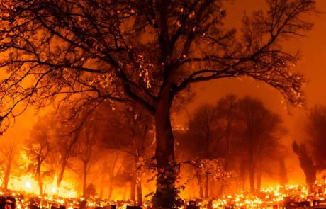 COP27 : L’Europe « déçue » par la déclaration finale du sommet mondiale