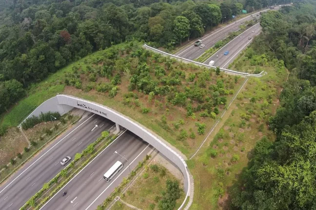 Les continuités écologiques en milieu périurbain : un enjeu clé pour la biodiversité
