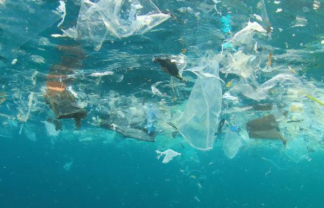 Le coût du plastique coûterait plus cher que sa production selon WWF