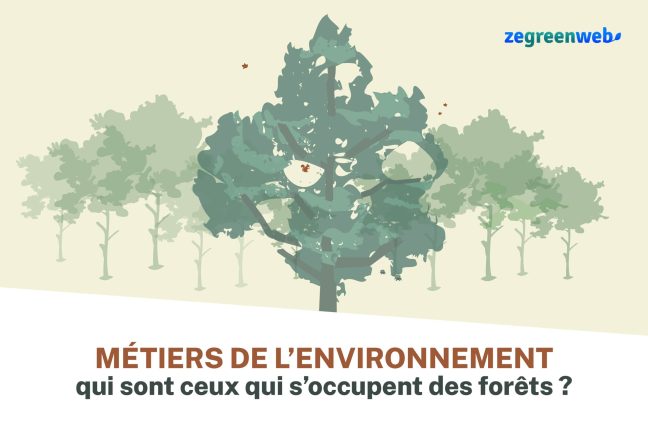 Métiers de l’environnement : qui sont ceux qui s’occupent des forêts ?