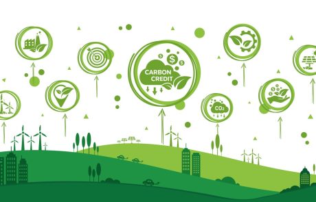 La COP29 conclut un accord pour lancer le marché mondial des crédits carbone