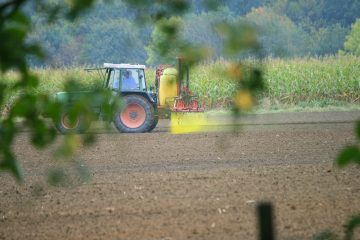 Les défenseurs de l’environnement contestent l’autorisation de vente du sulfoxaflor