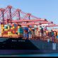 Le centre mondial pour la décarbonation maritime entame un partenariat de 5 ans avec la société MSC