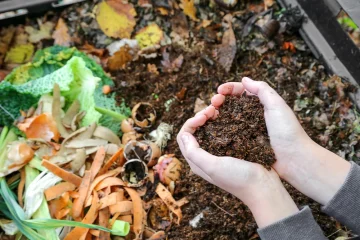 Déchets alimentaires : Bordeaux tente l’expérience des Points d’Apport Volontaires