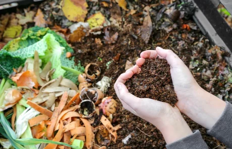 Déchets alimentaires : Bordeaux tente l’expérience des Points d’Apport Volontaires