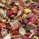Un entrepreneur béninois transforme les déchets végétaux en charbon de bois