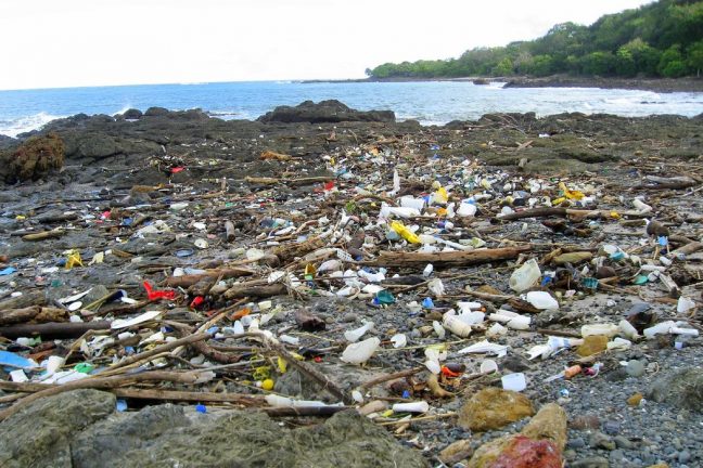 Déchets plastiques : les États-Unis champions du monde de pollution