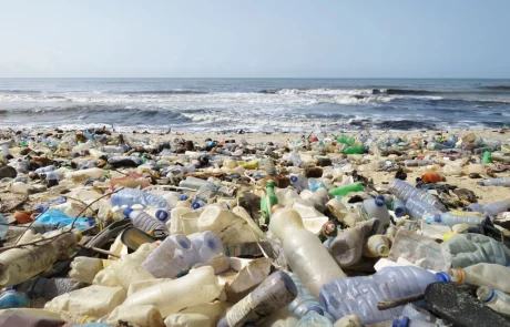 Déchets plastiques : l’ONU passe un accord “historique”