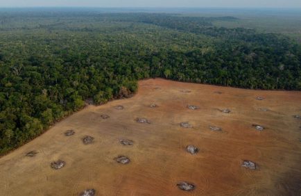 La déforestation en Amazonie brésilienne chute de 68% en avril, première baisse majeure sous Lula