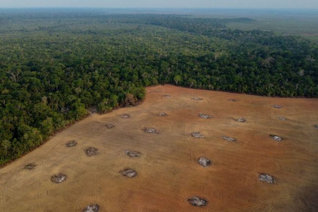 La déforestation en Amazonie brésilienne chute de 68% en avril, première baisse majeure sous Lula