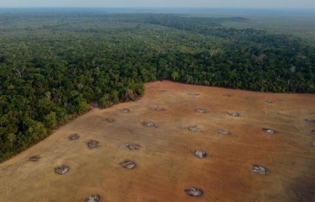 La déforestation en Amazonie brésilienne chute de 68% en avril, première baisse majeure sous Lula