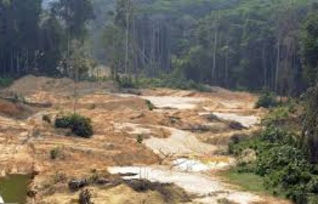 Les négociants céréaliers tentent d’affaiblir l’interdiction d’acheter du soja d’Amazonie