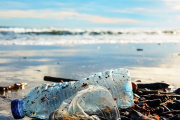Un programme teste des modèles innovants de réduction des déchets marins
