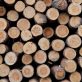 Un tiers des entreprises grosses consommatrices de matières premières n’ont pas de politique de lutte contre la déforestation