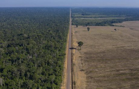 La déforestation en Amazonie brésilienne atteint un deuxième record mensuel consécutif
