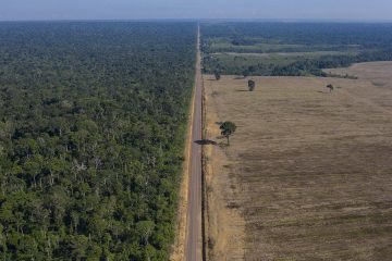 La déforestation en Amazonie brésilienne atteint un deuxième record mensuel consécutif