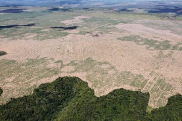 Amazonie : Forte augmentation de la déforestation pendant la crise de Covid-19